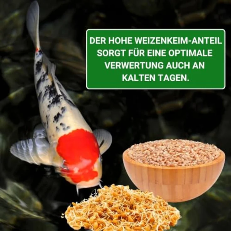 KENKOU COOL-Water 6mm, Fischfutter mit hohem Weizenkeimanteil und probiotischen Bakterien, 10 kg – Bild 6