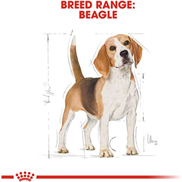 Royal Canin Beagle Adult, Hundefutter für ausgewachsene Beagle, 12 kg, unterstützt ideales Körpergewicht und Knochen- sowie Gelenkgesundheit – Bild 8