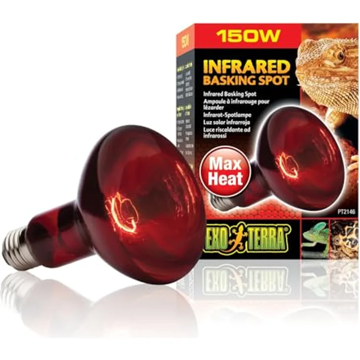 Exo Terra Infrared Basking Spot, Wärmespotlampe R30, 150W, E27, für nächtliche Beobachtungen und optimale Wärmeemission