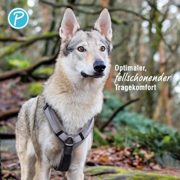 Petlando Hundegeschirr Y-Comfort, gepolstert, stufenlos verstellbar, atmungsaktiv & ergonomisch für große Hunde, anthrazit, Größe L – Bild 4