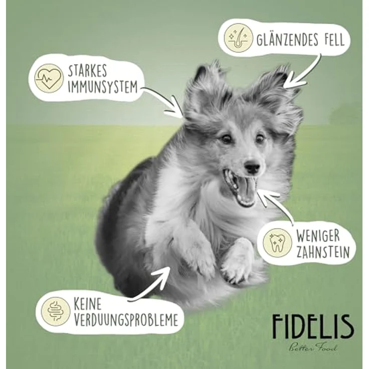 Fidelis Gekochtes Frische-Menü für Hunde mit Ziege, Maniok, Karotten & Pfirsich, 400g Glas, 70% Fleischanteil, ungekühlt haltbar, ohne Zusätze – Bild 2