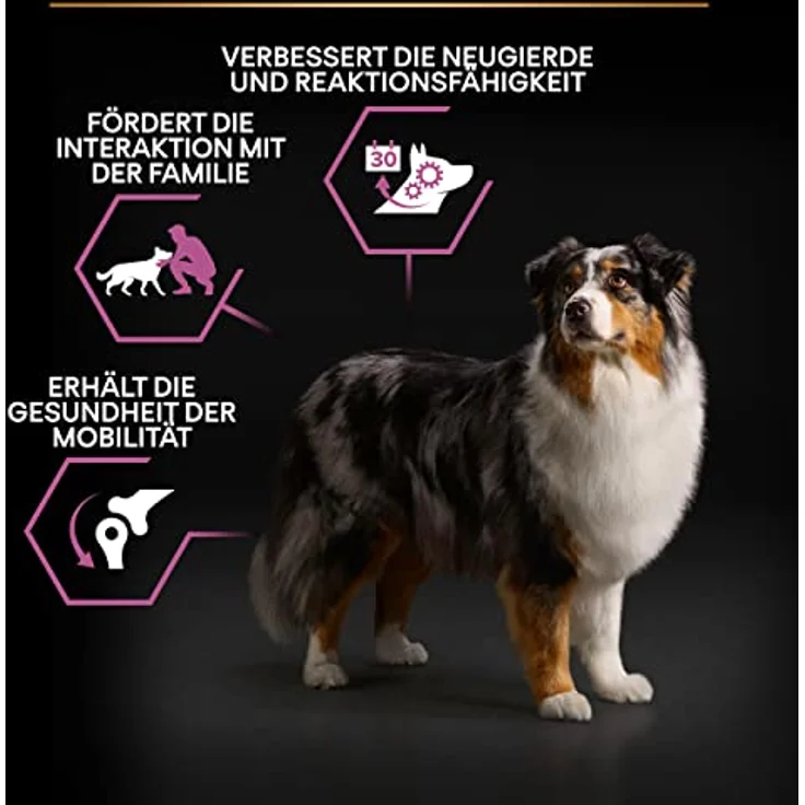 Pro Plan PRO PLAN Adult 7+ Medium & Large Age Defence Huhn, Trockenfutter für ältere Hunde, 14 kg, reich an hochwertigem Huhn, mit Omega-3-Fettsäuren und Vitamin D – Bild 3