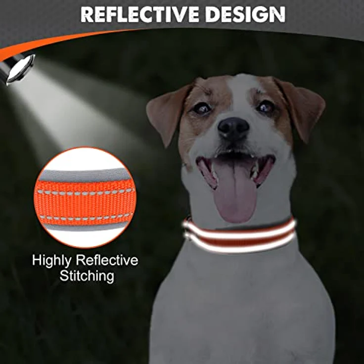 Joytale Hunde Halsband, Weiches gepolstertes Neopren Halsband für kleine Hunde, Nylon reflektierend, orange, 28-37 cm – Bild 4