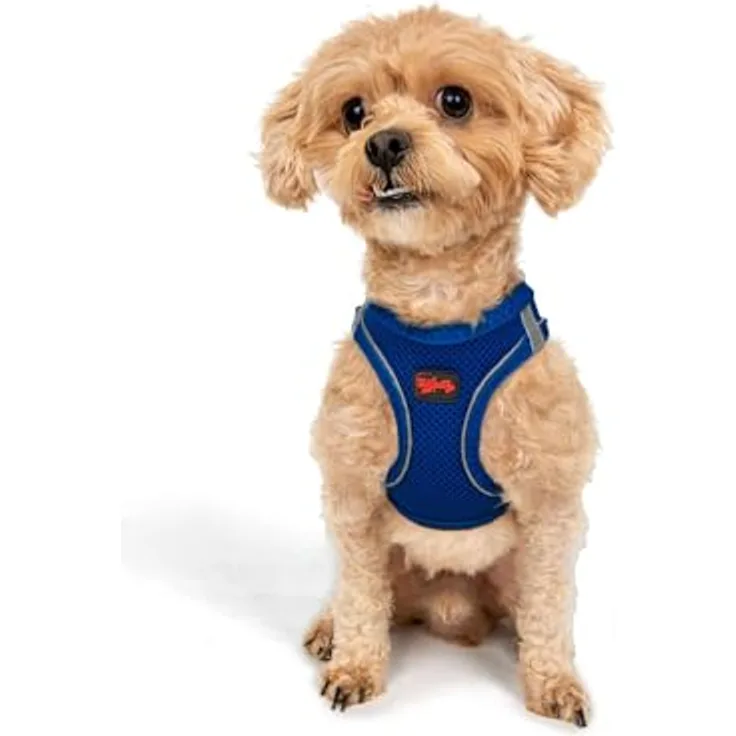 Tailpetz Air-Mesh Brustgeschirr für kleine und mittelgroße Katzen und Hunde – Weich, Atmungsaktiv, Strapazierfähig, Dunkelblau, 2XS (Brustumfang 30,5–33 cm)