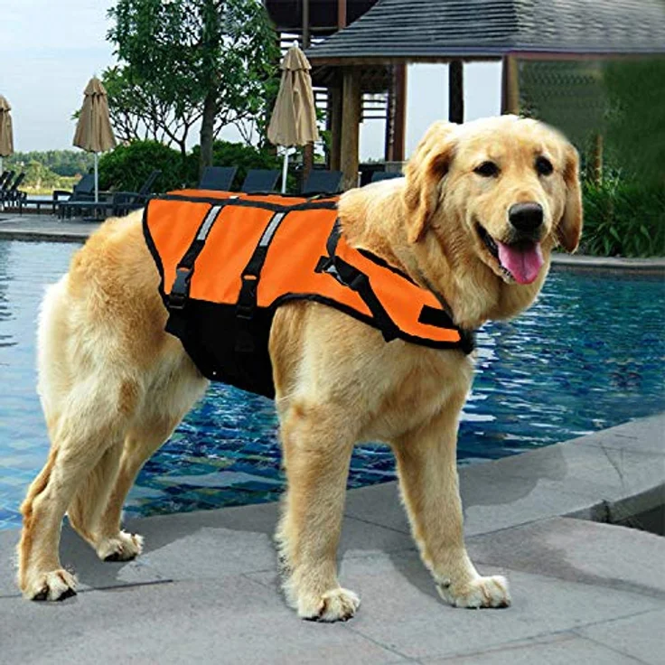 Izefia Hund Schwimmweste, Sicherheitsmantel für kleine Hunde, 30-42 cm Brustumfang, orange, XS mit Griff und verstellbaren Trägern – Bild 4