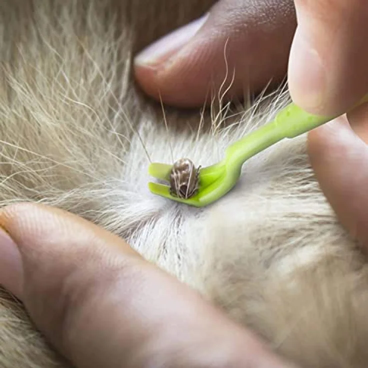 WONEEY Zeckenpinzette Set, 3 Größen Zeckenentferner für Hunde, Katzen und Pferde, robuste grüne Zeckenzange aus langlebigem Kunststoff – Bild 4