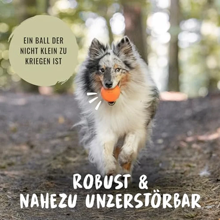 Rudelkönig Hunde Ball aus Naturkautschuk, oranger Spielball mit 6,5 cm Ø, nahezu unzerstörbar und zahnfreundlich – Bild 2
