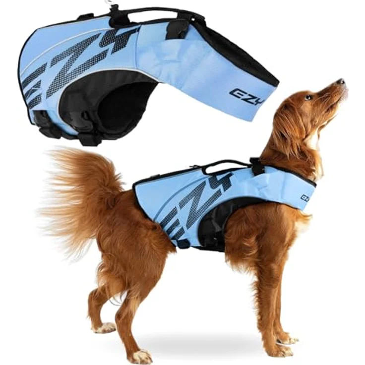EzyDog DFD X2 Boost Schwimmweste Hunde - Premium Schwimmhilfe für kleine, mittlere & große Hunde, blau, Größe M, anatomisches Design mit starkem Assistenzgriff – Bild 1