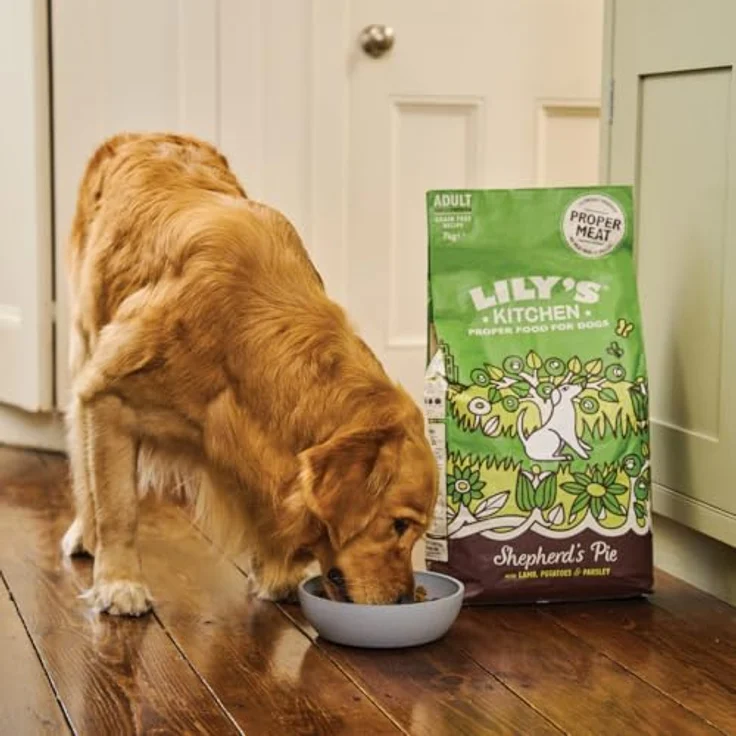 Lily's Kitchen Trockenfutter für ausgewachsene Hunde, Hirtenkuchen mit natürlichem Lamm, 1kg Beutel, getreidefrei, mit Glucosamin und Präbiotika – Bild 4
