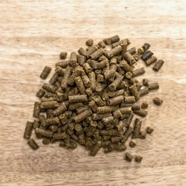Brandon Plus Gastrointestinal, Pferdefutter für Pferde, unterstützt die Magendarmschleimhaut und das Immunsystem, 3 kg – Bild 2