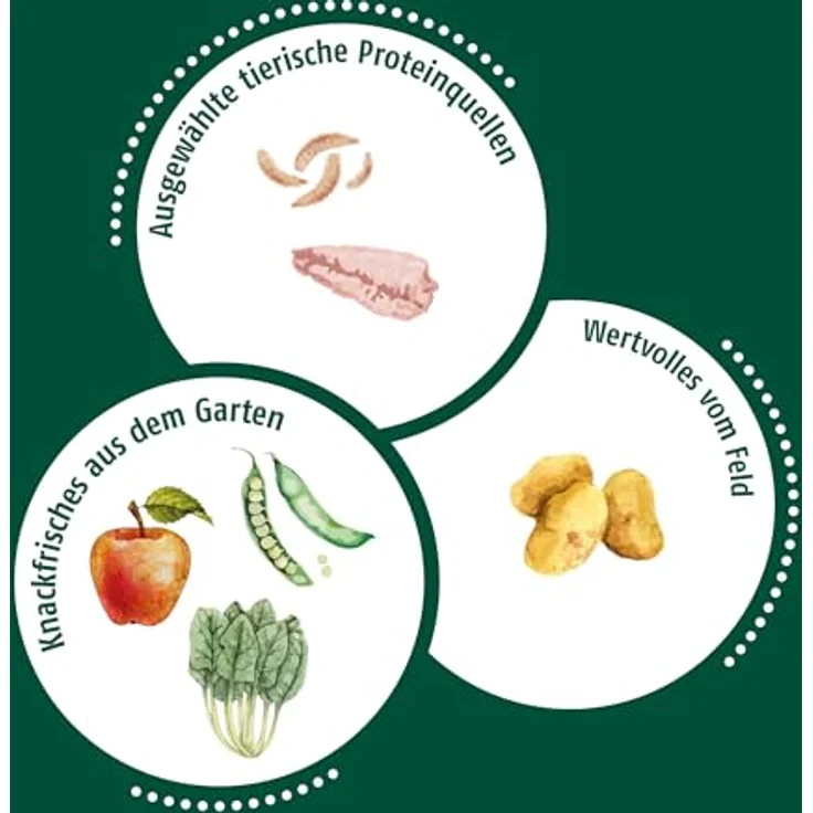 Christopherus Getreidefrei - Trockenfutter mit Forelle und Insektenprotein, 12kg, ideal für Allergiker – Bild 4
