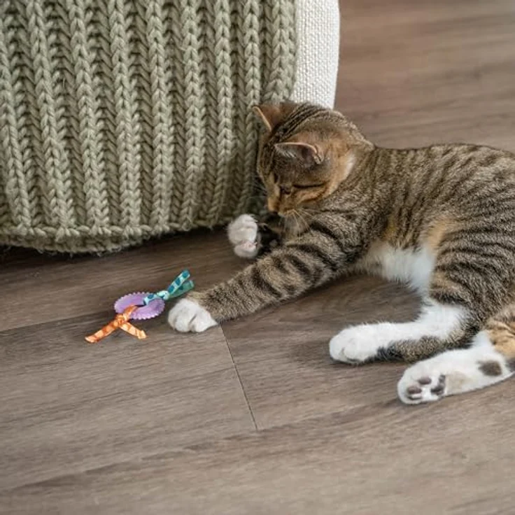 Catstages Kitty Chew Wheel, Katzenspielzeug mit Katzenminze und Zahnpflegefunktion aus robustem Gummi – Bild 3