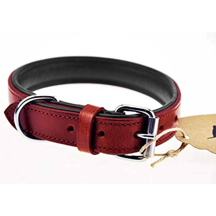 Schnüffelfreunde Hundehalsband aus Leder, gepolstert und robust, für große, mittlere und kleine Hunde, XL (46-55cm), rot – Bild 4