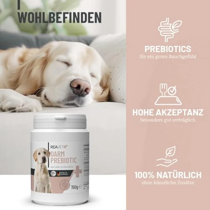ReaVET Darm Prebiotic für Hunde 150g - Präbiotikum zur Unterstützung der Darmflora & Verdauung - 100% naturrrein & getreidefrei, für alle Hunderassen – Bild 3