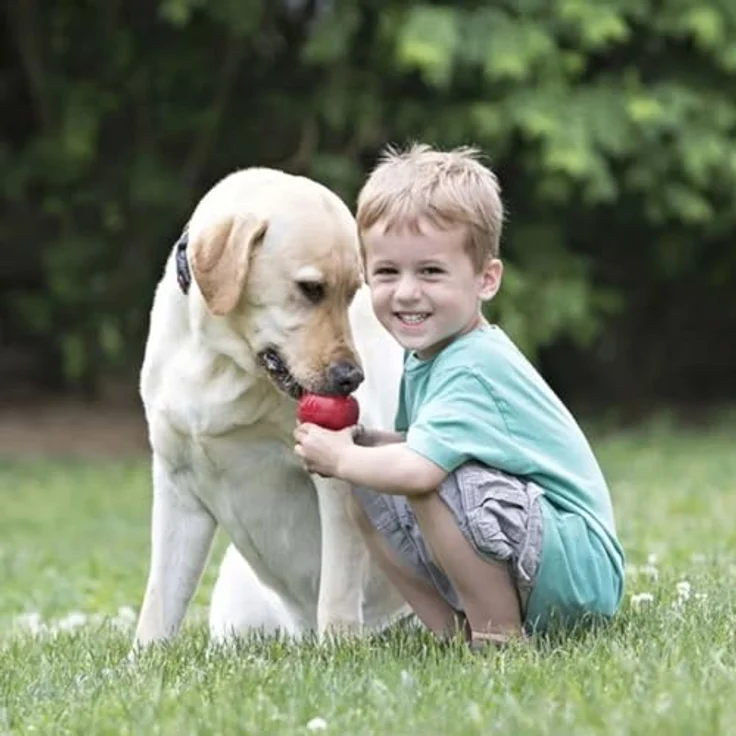 KONG Kauspielzeug KONG Classic XL, Naturkautschuk Hundespielzeug in Rot, ideal für Apportierspiele – Bild 3