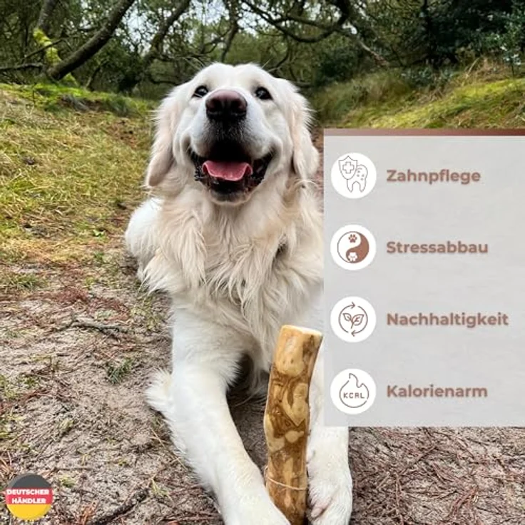 ZOYS Kaffeeholz für Hunde, Natürlicher Kauknochen für Zahnreinigung & Zahngesundheit, Größe S, langlebig & risikoarm – Bild 2