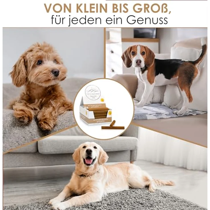 123... Hund dabei! Kaurollen XXL 50er Tray Strauß, getreidefreier Dentalkaurolle für Hunde, Zahnpflege & langanhaltender Kauspaß – Bild 4