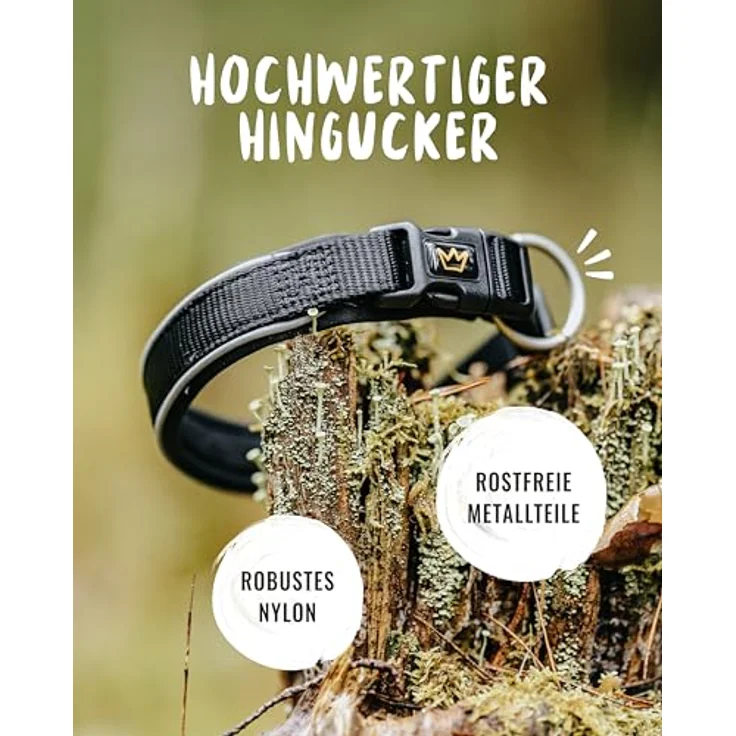 Rudelkönig Hundehalsband Paola, Verstellbares refl. Nylonhalsband für kleine Hunde und Welpen, schwarz – Bild 3