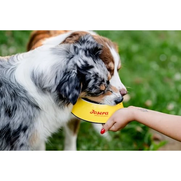 JosiDog Adult Sensitive, Hunde-Trockenfutter mit zartem Geflügel, 900g – Bild 6