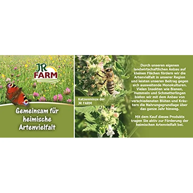 JR FARM Birds Sonnenblume, 30 g Vogelfutter mit sonnengereiften Sonnenblumenkernen, gentechnikfrei und mit vielen Vitaminen – Bild 3