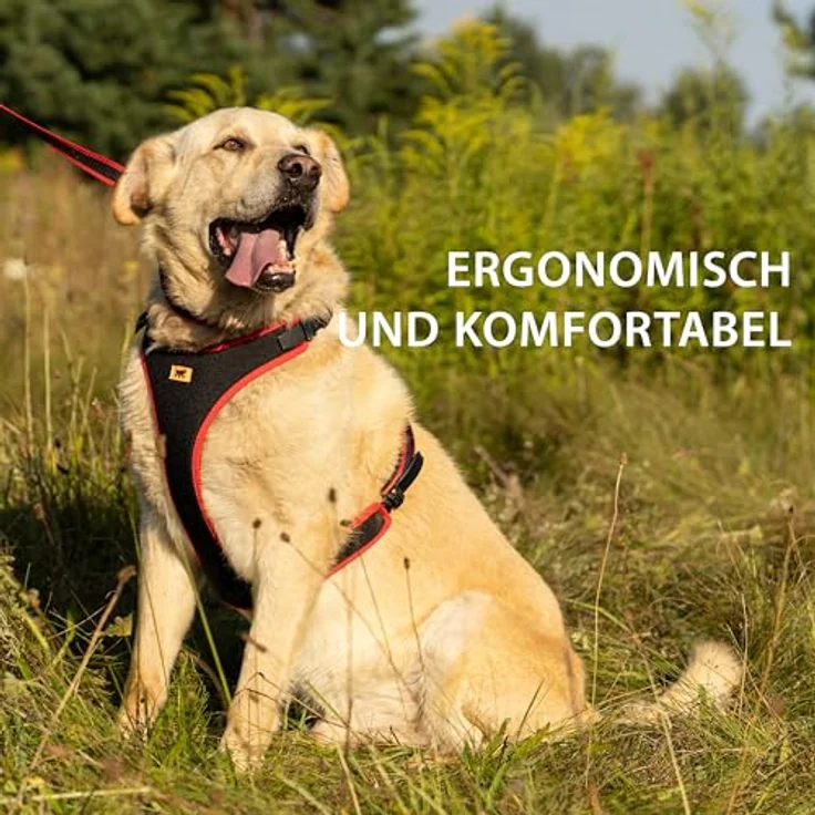 Ferplast ERGOCOMFORT SMALL, verstellbares und gepolstertes Hundegeschirr mit doppeltem Mikroverstellverschluss und Schnellverschluss, Rot – Bild 3