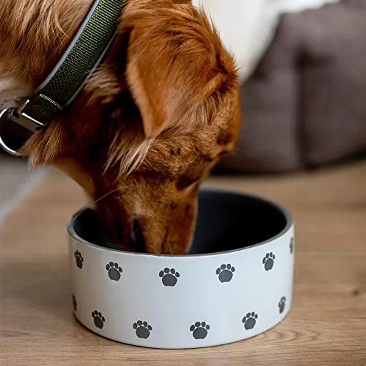 Nobby Hunde Keramiknapf PATA creme grau Ø 12 x 4,5 cm 250 ml – Bild 6