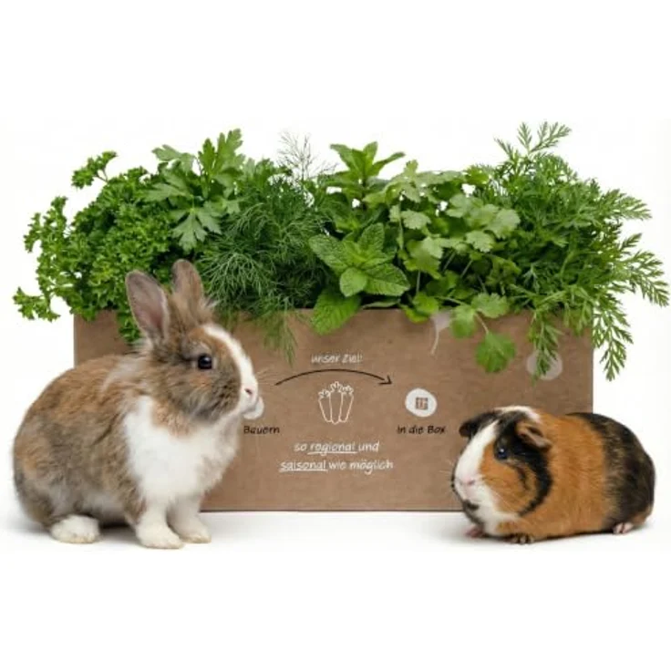 Knollenliebe Vun allem Ebbes Frischfutter-Box 5 kg - Abwechslungsreiche Kleintierernährung mit saisonalem Gemüse und Kräutern für Kaninchen & Meerschweinchen – Bild 1