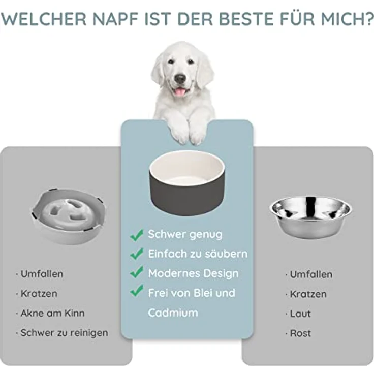 SPUNKYJUNKY Hundenapf Keramik, ergonomisch erhöhter Futternapf mit Bambusständer für große Hunde und Katzen, 850ml, Weiß Grau – Bild 2
