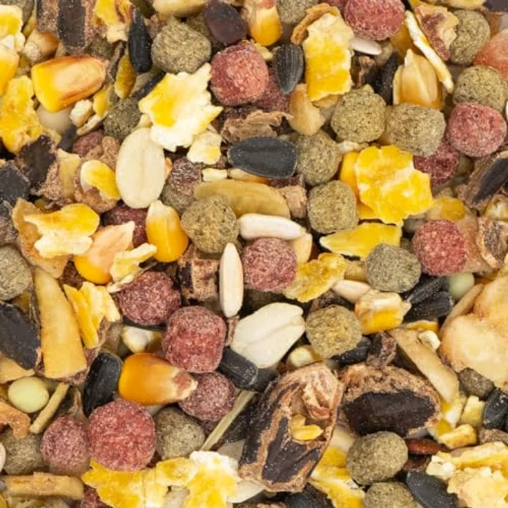 JR Farm Früchte-Traum 200g, Kleintierfutter mit tropischen Früchten, Nüssen und Sonnenblumensaat, gentechnikfrei, Made in Germany – Bild 2