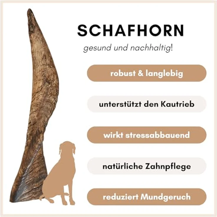 Supravit Kauhorn vom Schaf - Schafhorn XS, Natürliches, splitterfreies Hundespielzeug zur Zahnpflege, 100% naturbelassen – Bild 5