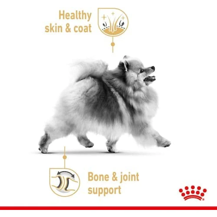 Royal Canin Pomeranian Adult Mousse, Feuchtnahrung für ausgewachsene Zwergspitze (>8 Monate), 12x85g – Bild 6