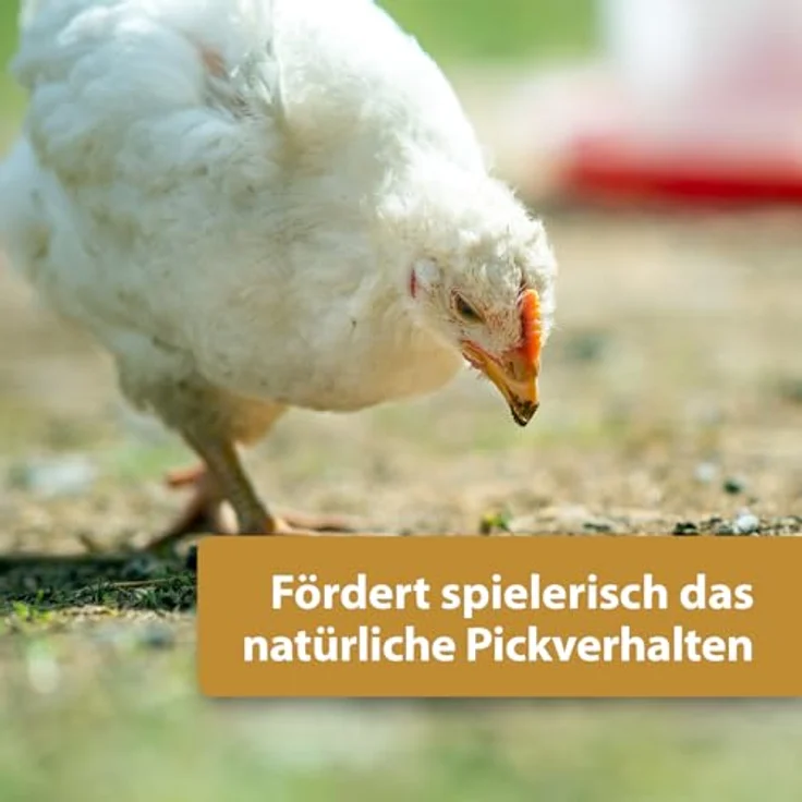 Quiko Hobby Farming Fitness Kräuter Ball für Hühner, 4x 100g, Bunter Fitness Ball aus schmackhaften Kräutern und Leckereien, Hühner Beschäftigungsspielzeug – Bild 4