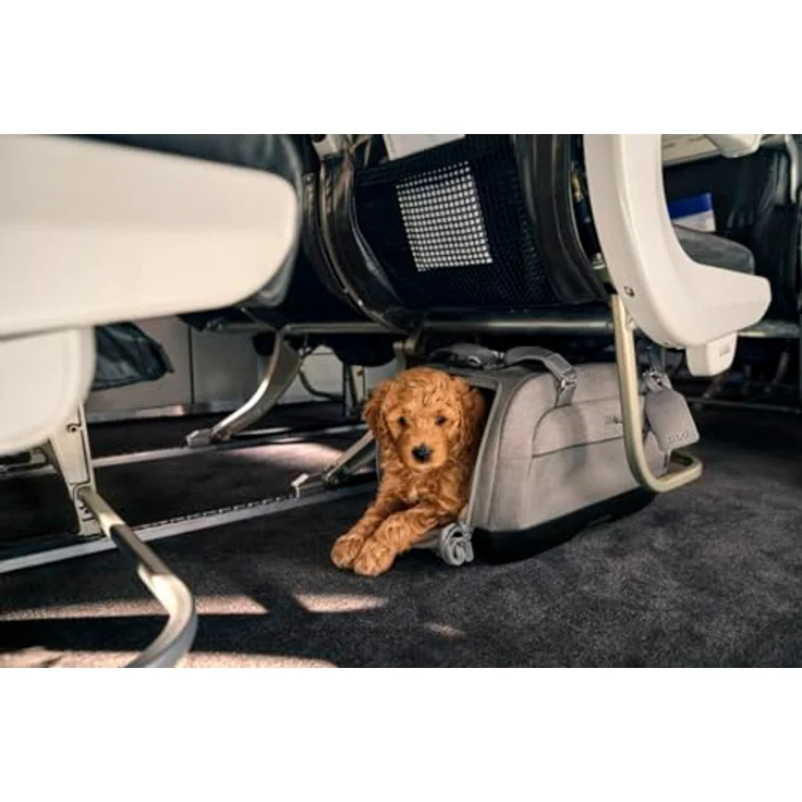 Tavo Hunde-Transportbox Dupree II Tiertransporttasche, Flugzeugtauglich, bis 9 kg, mit Isofix-System, luxuriöse Premium-Akzente, UV-Schutz 50+, 2 Matratzenauflagen – Bild 10