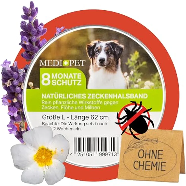 MEDIDOG Natürliches Zeckenhalsband, 65 x 1,5 cm, 8 Monate Schutz vor Zecken, Flöhe und Milben, für kleine Hunde & Katzen, mit Zistrose- & Lavendelöl, chemiefrei, wasserfest