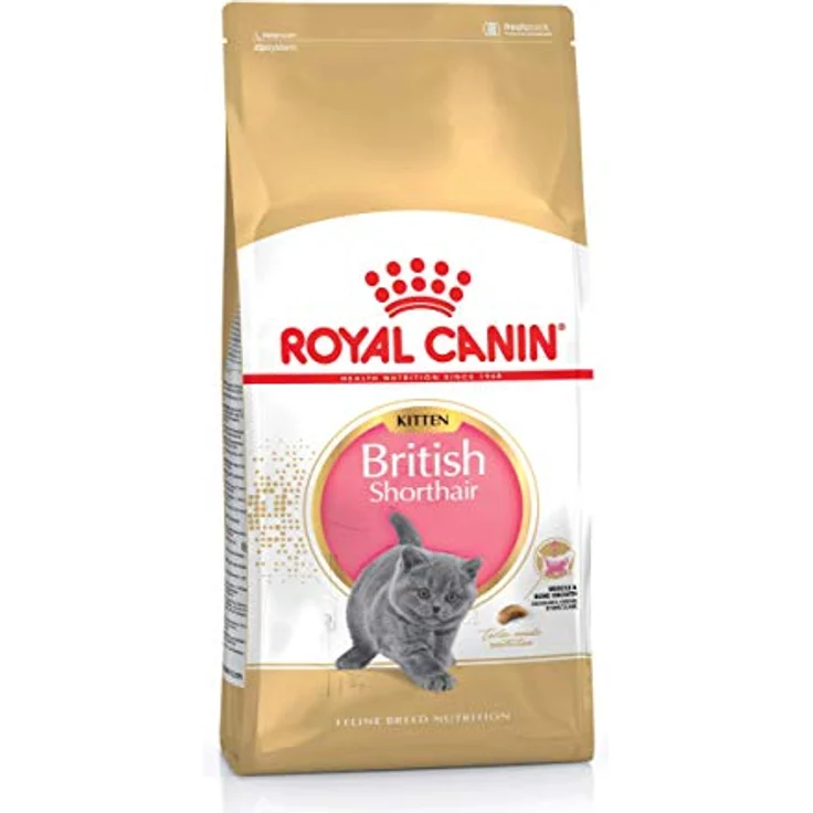 ROYAL CANIN British Shorthair Kitten, 10 kg Trockenfutter für kräftigen Körperbau, mit hochverdaulichen Proteinen und Antioxidantien