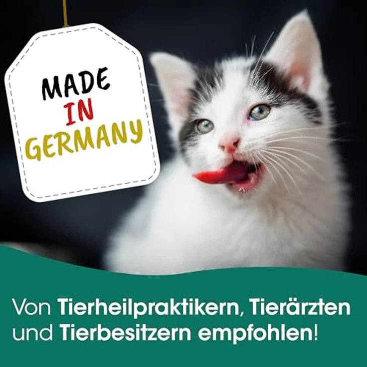 cdVet FischSnack 250 g Beutel für Hunde und Katzen, Einzelfuttermittel mit wertvollen Omega Fettsäuren, natürlich und luftgetrocknet, ohne Farbstoffe und Konservierungsstoffe – Bild 5