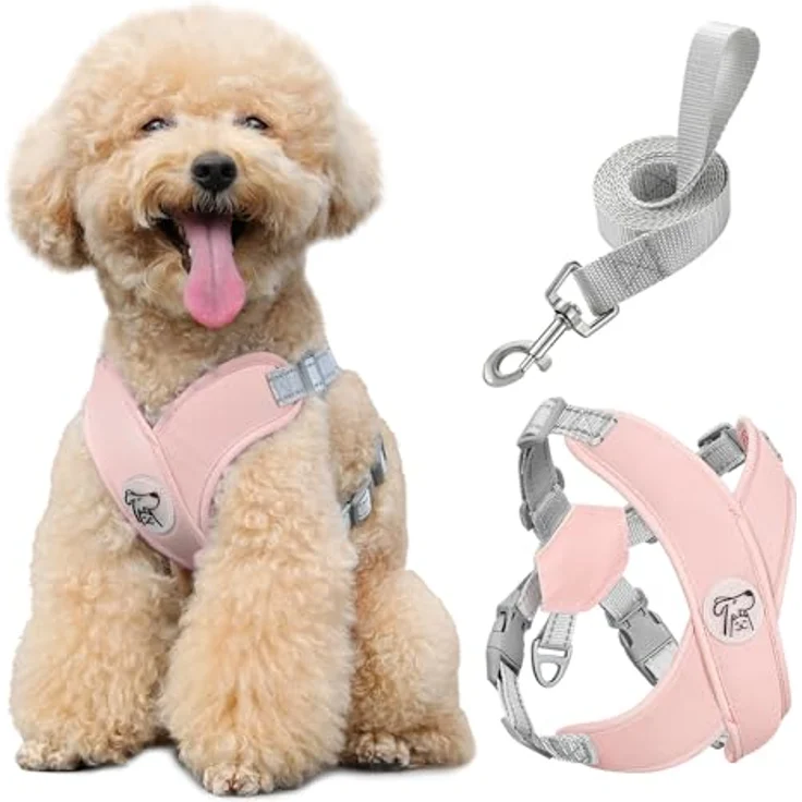 Pawaboo X-Rahmen Hundegeschirr mit Hundeleine Set, Verstellbares Anti Zug Anti-Erstickung Brustgeschirr für Kleine und Mittelgroße Hunde, Atmungsaktive Weste (M, Rosa) – Bild 1