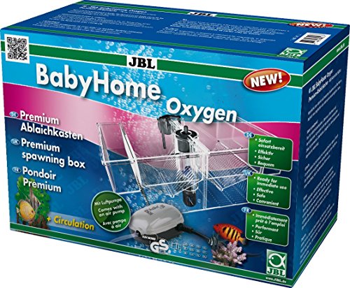 JBL Baby Home Oxygen, Premium-Ablaichkasten-Komplettset mit Luftpumpe und sanftem Wasserstrom für Aquarien