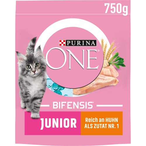 PURINA ONE Junior 1–12 Monate, Katzentrockenfutter reich an Huhn, 750g Beutel, unterstützt gesunde Entwicklung und Abwehrkräfte