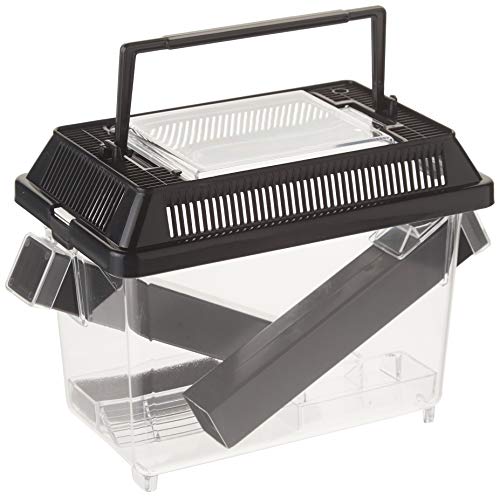 Exo Terra Cricket Pen, Pflegeset für Grillen mit belüfteter Abdeckung, Futter- und Wassernapf, klein (18 x 14 x 11 cm)