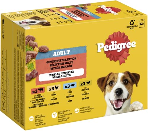 Pedigree DOGCARE Pouch Nassfutter, Mixed Chunks in Jelly, 12x100g, für ausgewachsene Hunde mit natürlichen Zutaten und Vitamin E