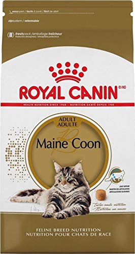 Royal Canin Maine Coon 31, Katzen-Trockenfutter für große Rassen, 10 kg