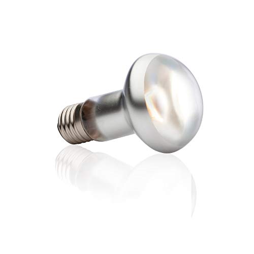 Exo Terra Intense Basking Spot, Wärmespotlampe, 50W, E27, Gelb, für Terrarienbeleuchtung