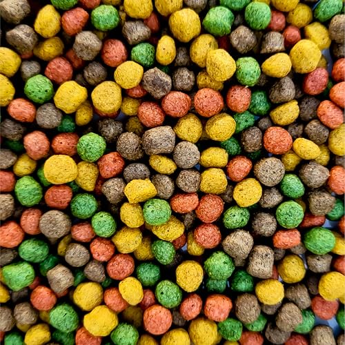 Teichpoint Multi-Mix Koifutter 6mm (5kg), 4 Sorten Futtermix mit Lachsöl, Spirulina, Astaxanthin und Wheatgerm für ganzjährige Fischernährung