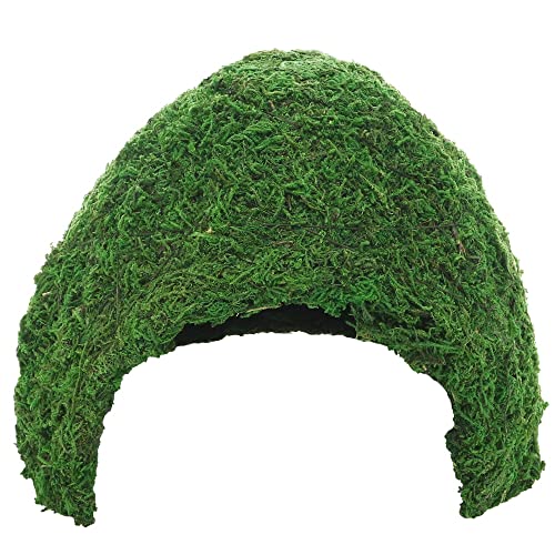 Hobby 34604 Jungle Cave 3, Terrarien-Dekoration zur Luftfeuchtigkeitsregulation aus erneuerbaren Ressourcen