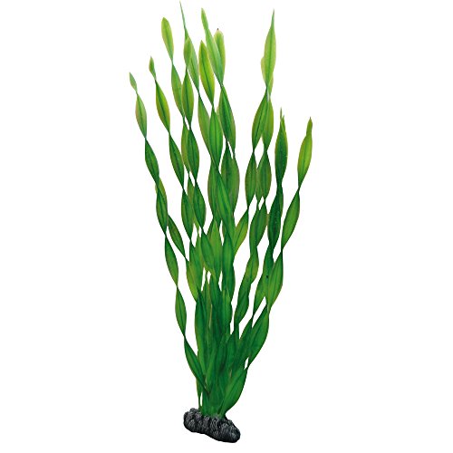 HOBBY Aquariendeko Vallisneria, 46 cm Kunststoffpflanze mit natürlicher Bewegung für Aquarien