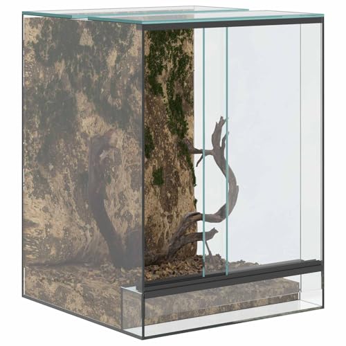 vidaXL Terrarium Transparent 30 x 30 x 40 cm aus kratzfestem Glas, 360-Grad-Sicht, ideal für Reptilien und Amphibien