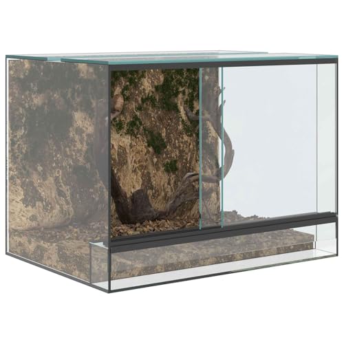 vidaXL Terrarium Transparent 40 x 30 x 30 cm, 360-Grad-Sicht, kratzfestes Glas, vielseitig für Reptilien und Amphibien