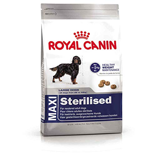 ROYAL CANIN Hundefutter Maxi Sterilised, hochwertiges Trockenfutter für große, sterilisierte Hunde, 3 kg