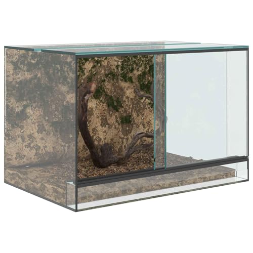 vidaXL Terrarium Transparent 60 x 40 x 40 cm, 360-Grad-Sicht, kratzfestes Glas, für Reptilien und Amphibien